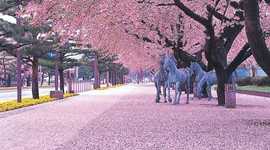 Timeline: Mi historia de Vida