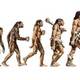 Concepto de precursor (1)
