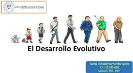 Timeline: desarrolo evolutivo