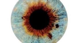 Timeline: Orígenes de la ciencia