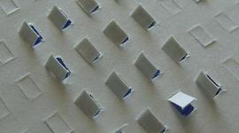 Timeline: Civil rights Toastline