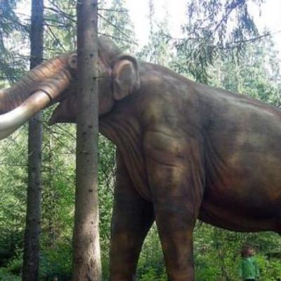 Timeline: Geokronoloogiline skaala Dubik