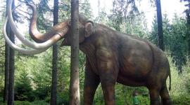 Timeline: Geokronoloogiline skaala Dubik