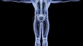 Timeline: The History of the Xray