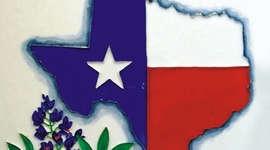 Timeline: The Texas Revolution