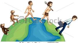 Timeline: Evolución Humana