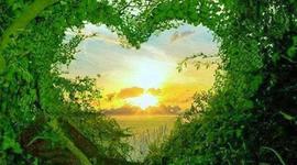 Timeline: HISTORIA DE LAS REVISTAS DE COLOMBIA