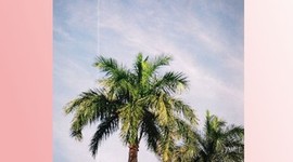 Timeline: Geokronoloogiline skaala Grete