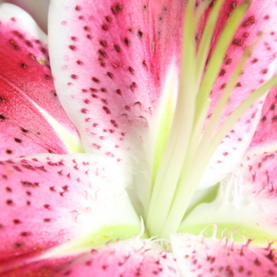 Timeline: unit 2 key terms