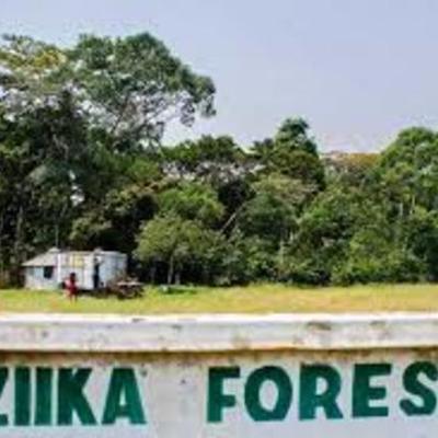 Timeline: Zika Pandemic