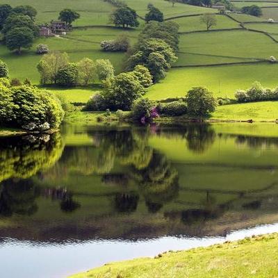 Timeline: History Timeline