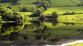 Timeline: History Timeline