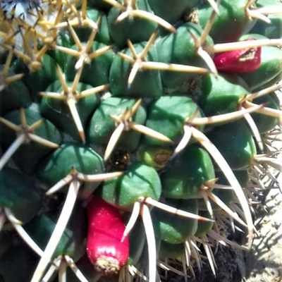 Timeline: antecedentes históricos de la administración