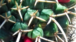 Timeline: antecedentes históricos de la administración