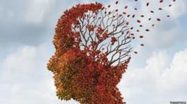 Timeline: AUTORES DEL PSICOANALISIS DE LA PERSONALIDAD