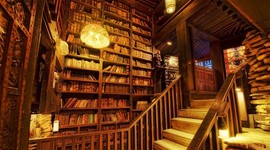 Timeline: Bibliotecología y ciencia de la información