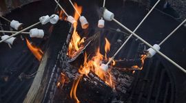 Timeline: The  History of Marshmallows