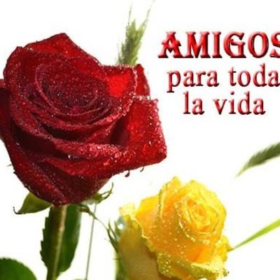 Timeline: Amor y Amistad