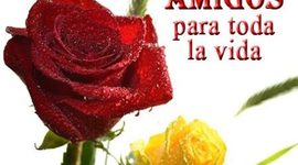 Timeline: Amor y Amistad