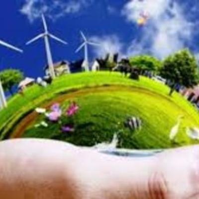 Timeline: el medio ambiente