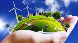 Timeline: el medio ambiente