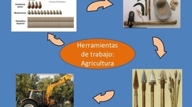 Timeline: Evidencia 3