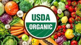 Timeline: Organic Food
