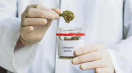 Timeline: Les grandes dates de l'histoire du cannabis thérapeutique