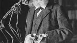 Timeline: LA ECOLOGIA DINAMICA