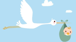 Timeline: Mi línea de vida