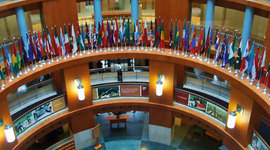 Timeline: Organizaciones internacionales que surgen al finalizar la segunda guerra mundial