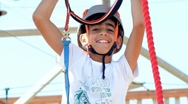 Timeline: אלון ציר זמן