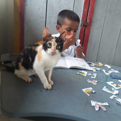 Timeline: EL PROCESO DE LA PLANEACIÓN EDUCATIVA