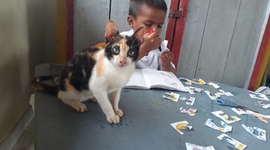 Timeline: EL PROCESO DE LA PLANEACIÓN EDUCATIVA