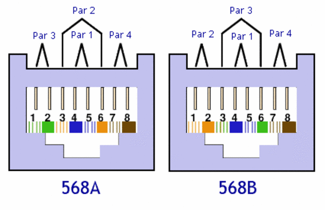 Estandares de cableado estructurado timeline Timetoast