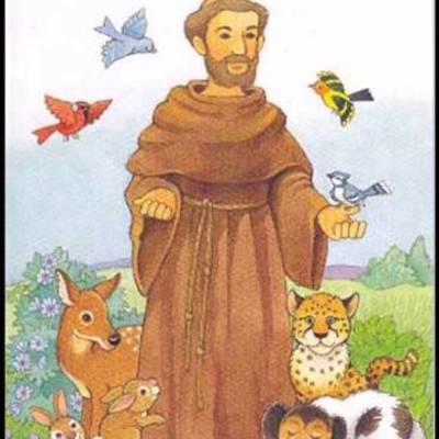 Timeline: VIDA SAN FRANCISCO DE ASIS