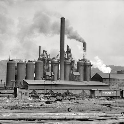 Timeline: Big Business and the West: Jackie Jung & Alex Yuelys