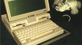 Timeline: Evolution of Technology