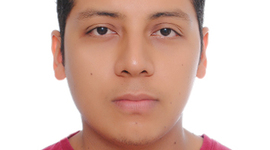 Timeline: STIVENS BISBICUTH MEDINA