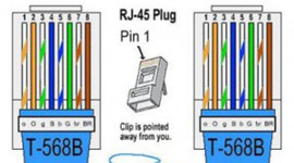 Timeline: Normas tia