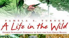 Timeline: A Life in the Wild chapter 3