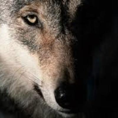 Timeline: Мои видио на You Tube!!!!!!!!!!!!!!!!!!!!!!!!!