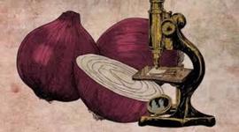 Timeline: postulados de la teoria celular