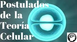 Timeline: postulados de la teoria celular