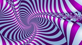 Timeline: a life in the wild