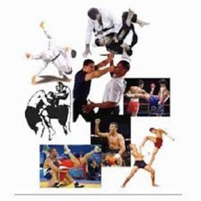 Timeline: Deportes de combate