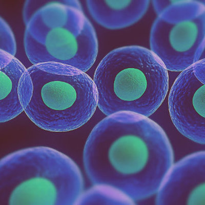 Timeline: Teoria Celular (Claudio Mondragon)