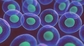 Timeline: Teoria Celular (Claudio Mondragon)