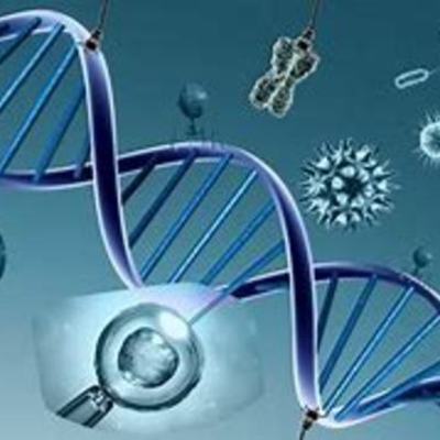 Timeline: LA HISTORIA DE LA GENETICA