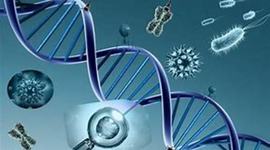 Timeline: LA HISTORIA DE LA GENETICA